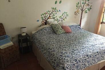 هاستل La Jungla Experience Lodgings   Vacation Home And Apartment