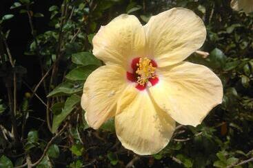 פנסיון Hostal La Cascada