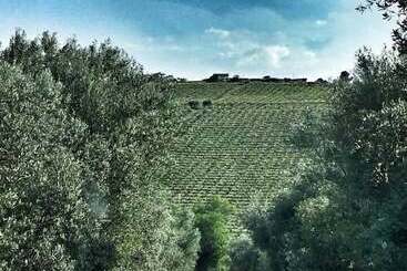 Hostal Osteria B&b Il Barcollo