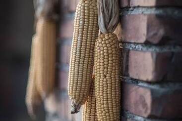 קוטג'' Agriturismo Beatilla