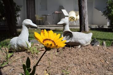 هتل Malemi Organic