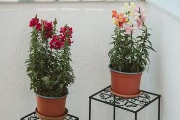 آپارتمان Villa Limnes