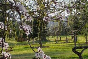 تختخواب و صبحانه Domaine Berenguer