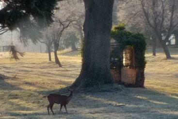 تختخواب و صبحانه Domaine Berenguer