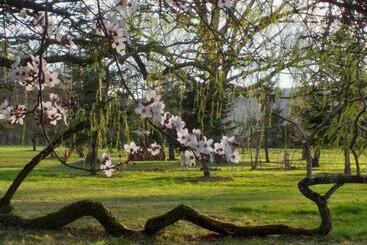تختخواب و صبحانه Domaine Berenguer