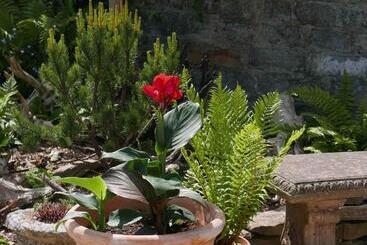 민박 The Potting Shed, Self Contained, Detached Retreat In Shapwick Village