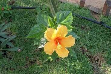 هتل Portadosoljeri