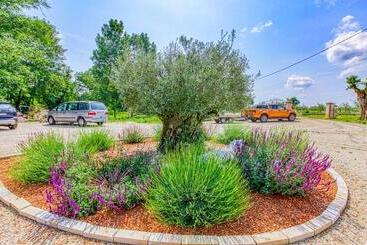 פנסיון Agréable Studio Jacuzzi Extérieur