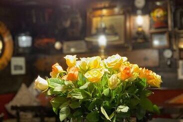 فندق Den Röda Båten