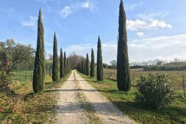 בית מלון כפרי Agriturismo La Lampada Di Atena