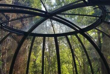 Bed and Breakfast Le Refuge Des Echos   Dômes Insolites D Etretat