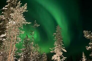 Aurora Queen Resort Igloos