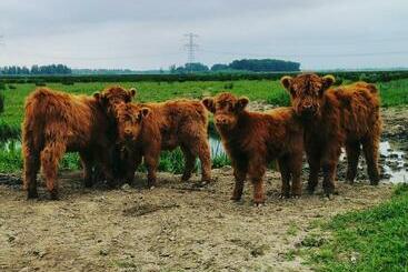 B&b Op De Terp