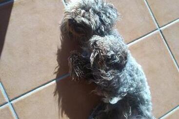 Пансион Del Rey Guest House