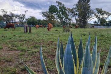 פנסיון Little Farms