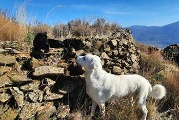 Bed and Breakfast Alpujarra Guesthouse, Habitaciones En Un Cortijo Sostenible Y Aislado En Medio De La Nada En Parque