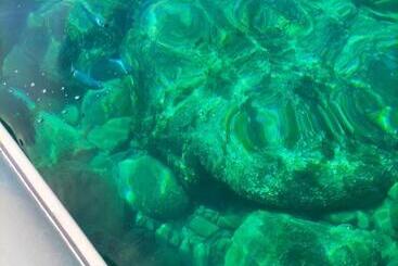 Пансион Tenuta Di Venere