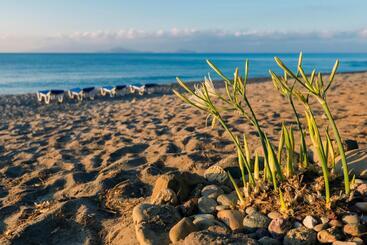 בית מלון כפרי Olympia Mare