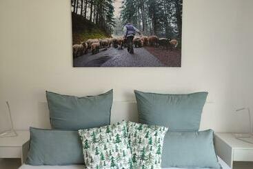 Bed and Breakfast Steepleview House