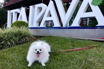 アパートホテル Flat Garden Itaipava