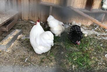 مبيت وإفطار Relais De La Poste