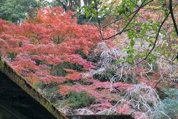 هتل Izuya Ryokan   Vacation Stay 22369v