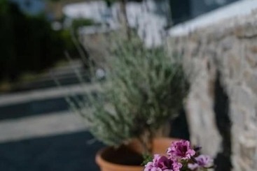 בית מלון כפרי Indigo Studios