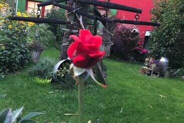 پانسیون Zur Alten Filmkiste