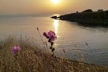 膳宿费 Art Studio Capitain