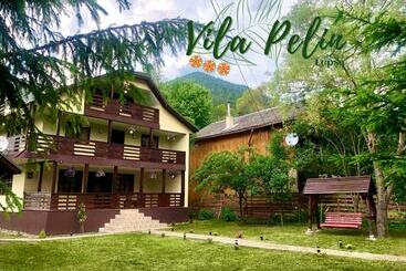 Пансион Vila Pelin