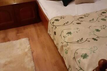 Pensiunea Casa Brancusi