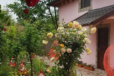 Pensiunea Happy Flowers