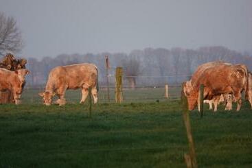 B&b Bij Bronckhorst
