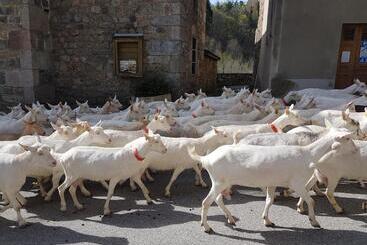 膳宿费 Domaine Sela