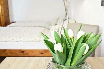 פנסיון Gasthaus Zum Alten Euler