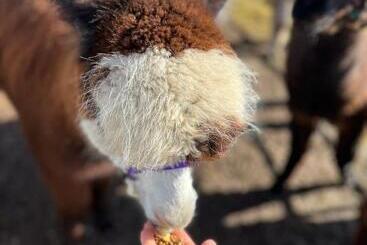 Balachladaich Loch Ness B&b