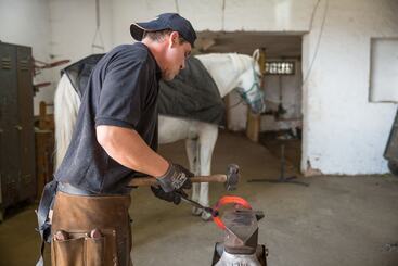 ホテル Reiterhof Altmühlsee