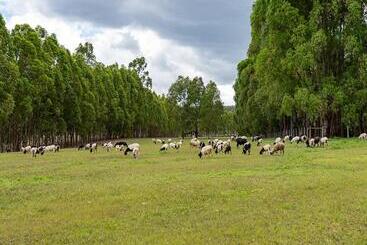 بنسيون Estancia Jacy