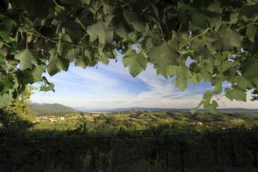 پانسیون Pri Marjotu