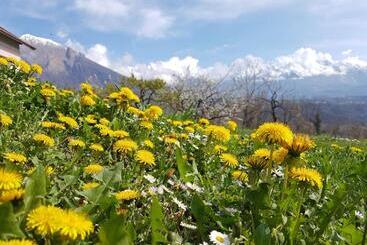 ベッドアンドブレックファースト Agriturismo La Giasena