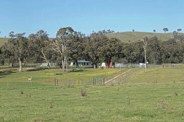 פנסיון Glenview Alpaca Farm