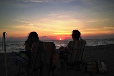 ペンション Vacation Home On Alligator Drive