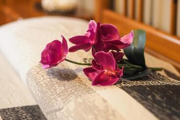 Bed and Breakfast Paradiso Della Bici