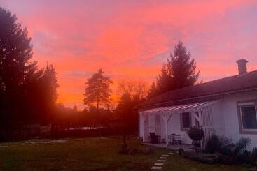 پانسیون Patika Vendeghaz