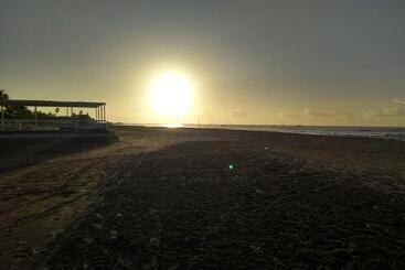 פנסיון Recanto Das Folhas