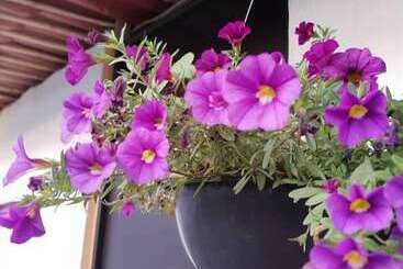 旅馆 Cabaña Miroji