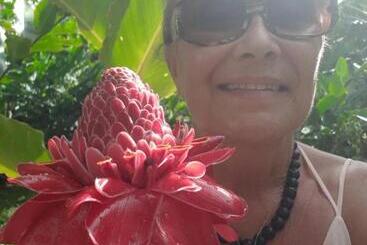 צימר Terrasse Du Piton