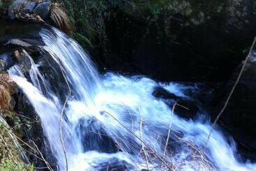 בית מלון כפרי Casa Do Ouriço