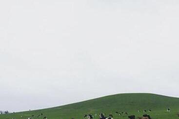 Отель William Tell House