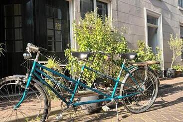 Bed and Breakfast Villa Conti